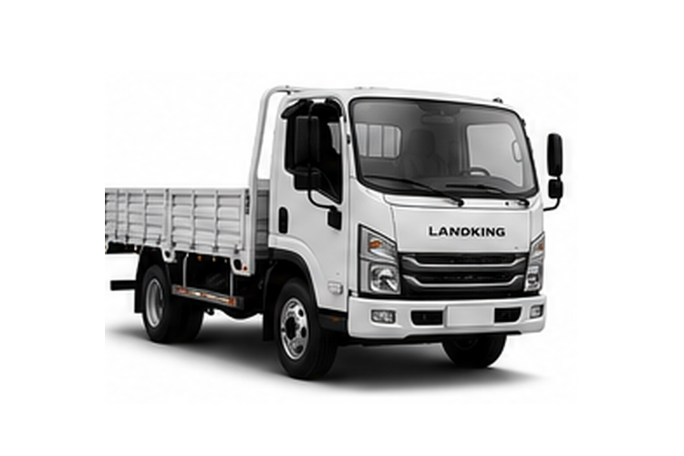 LANDKING LK1016 6.6 t 2026